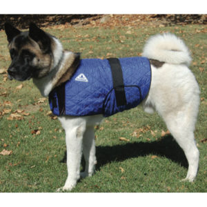 Hyperkewl Soğutucu Köpek Elbisesi
